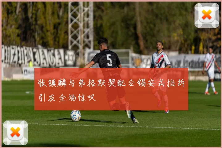 张镇麟与弗格默契配合锡安式挡拆引发全场惊叹