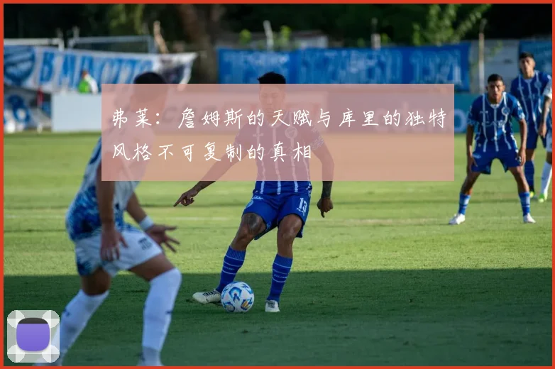 弗莱：詹姆斯的天赋与库里的独特风格不可复制的真相
