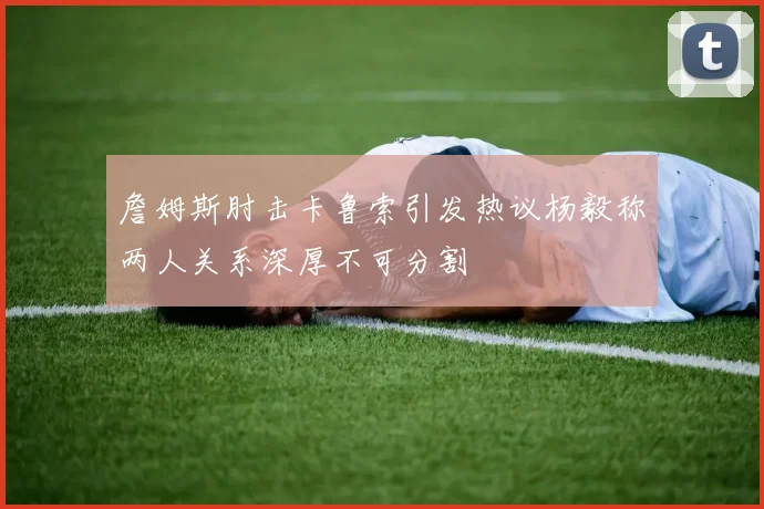 詹姆斯肘击卡鲁索引发热议杨毅称两人关系深厚不可分割